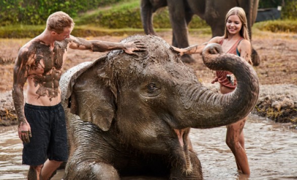 【バリ島】エレファントマッドファン　（動物園入場券とホテル往復送迎＆昼食付）